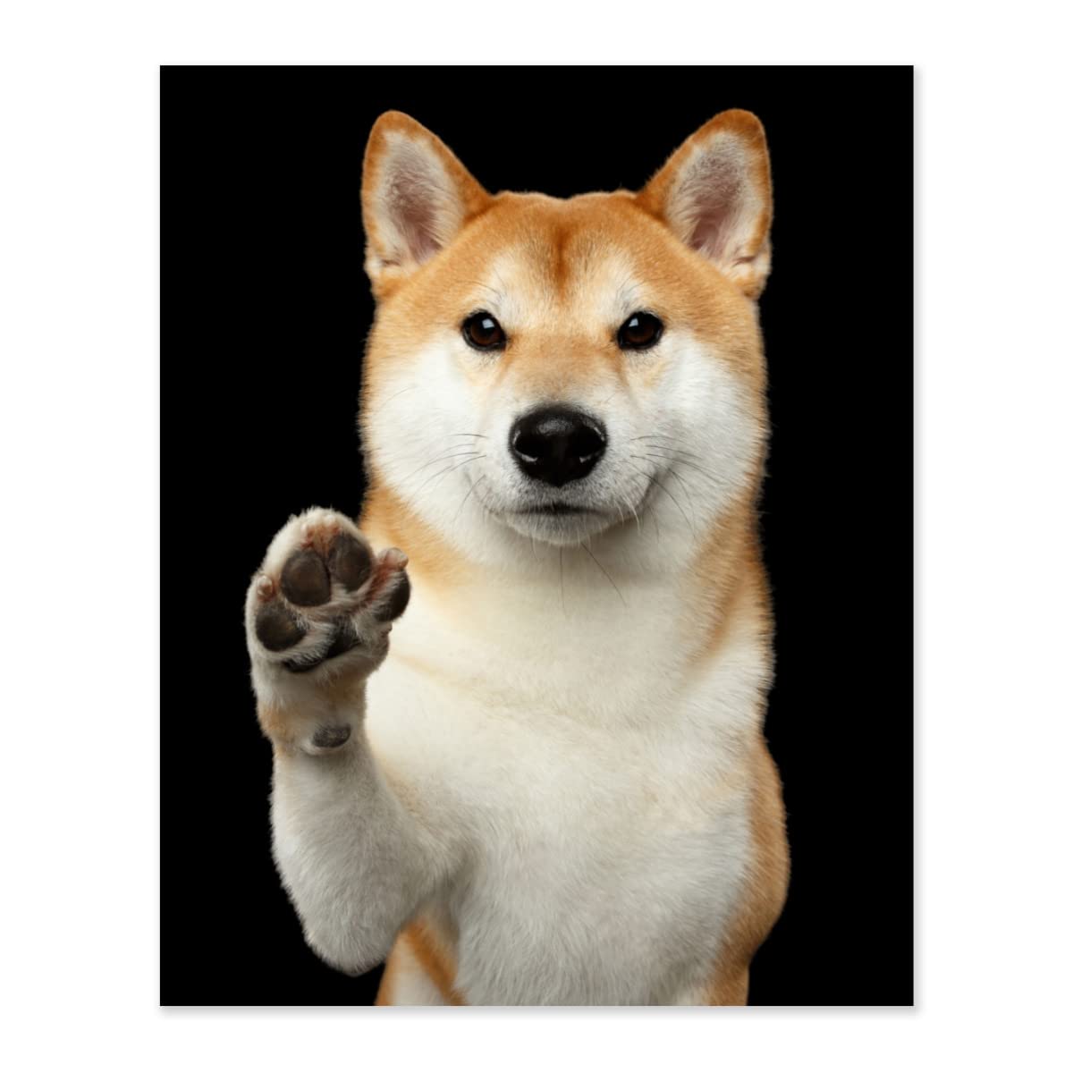 油絵　専用　穏やかなお利口さんの柴犬　見本 Amazon.co.jp: Hzong 数字油絵 柴犬 いぬ 犬柄 DIY絵 キャンバス油絵